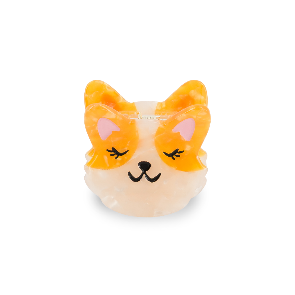 Mini pince - Rosie le corgi