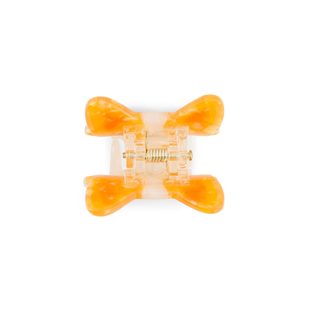 Mini pince - Rosie le corgi