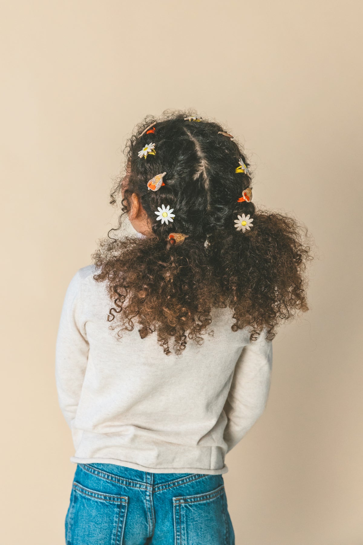 Barrettes Ruby le rouge-gorge (paire)