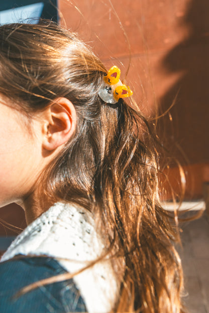 Mini pince - Rosie le corgi