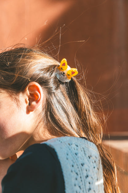 Mini pince - Rosie le corgi