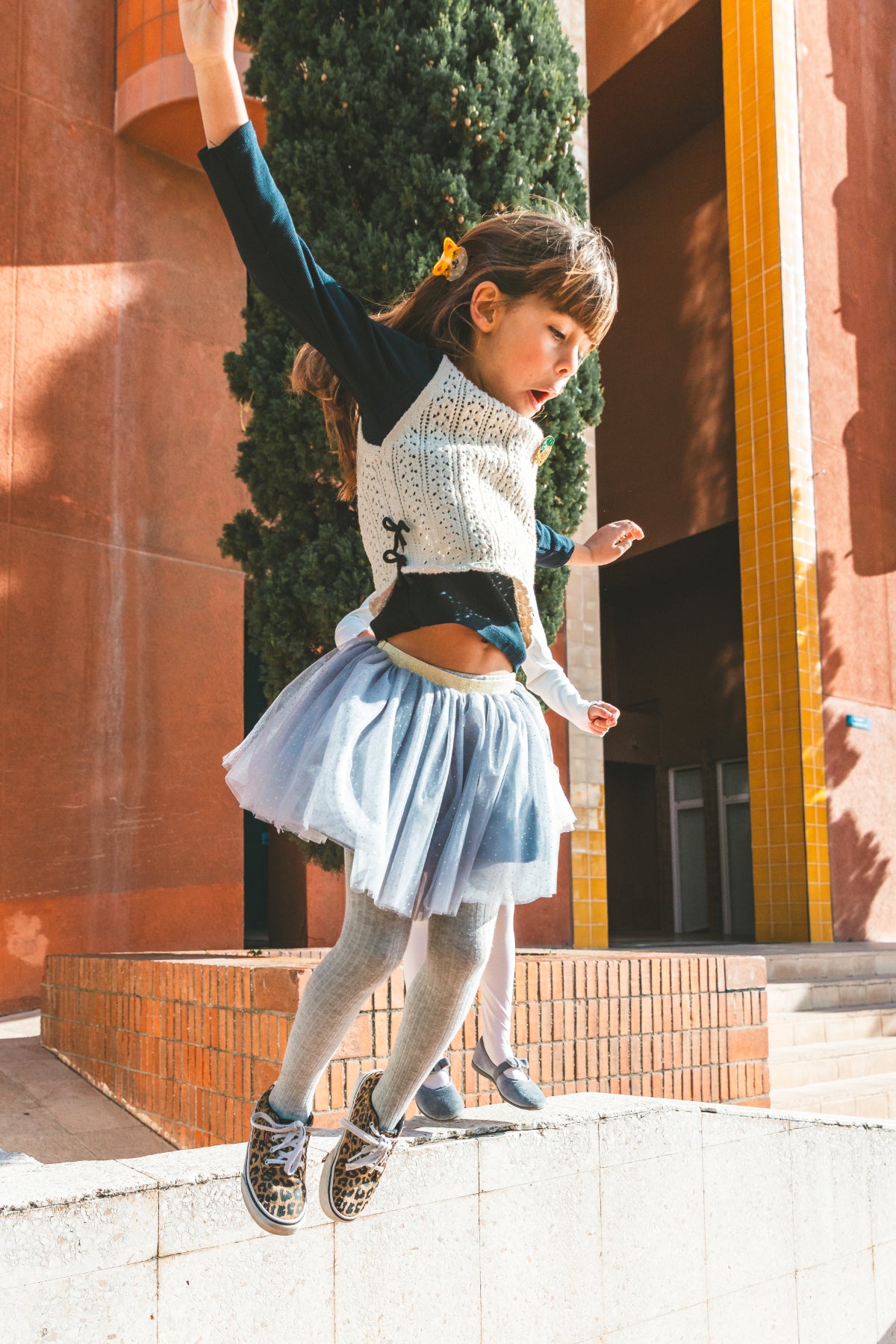 Mini pince - Rosie le corgi